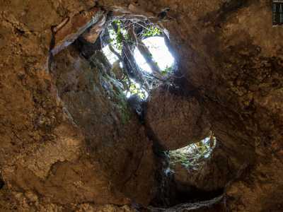 ...gettati negli anni dall�apertura circolare presente sul soffitto semiocclusa dalla vegetazione